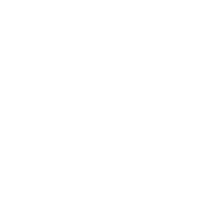 Verification icon